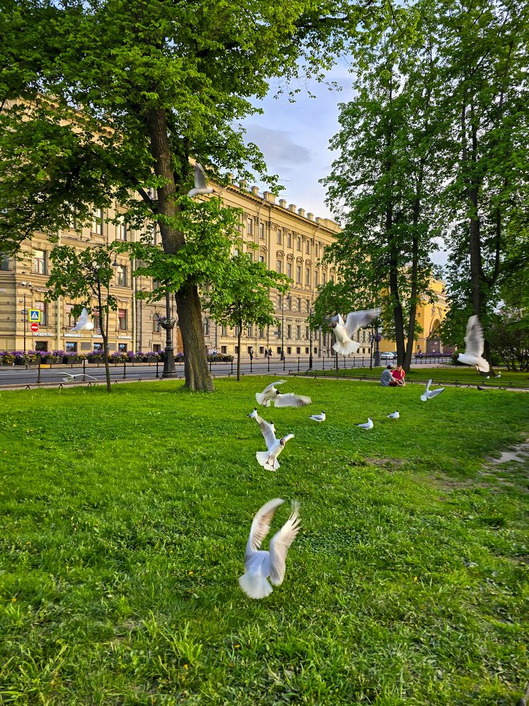 Photograph by Елена Сиушова