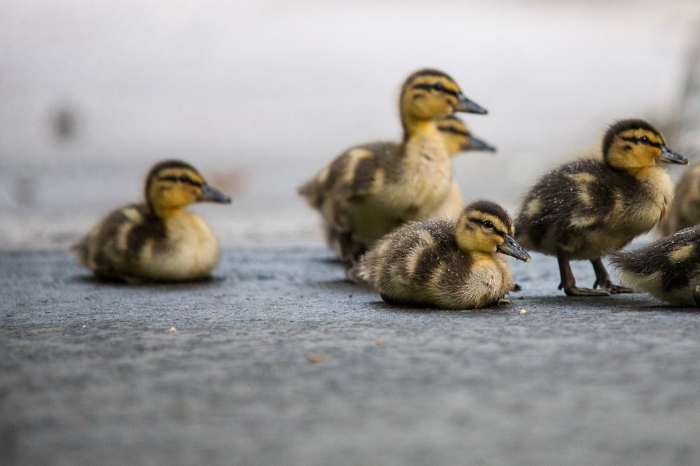 Photograph by Иван Овчинников