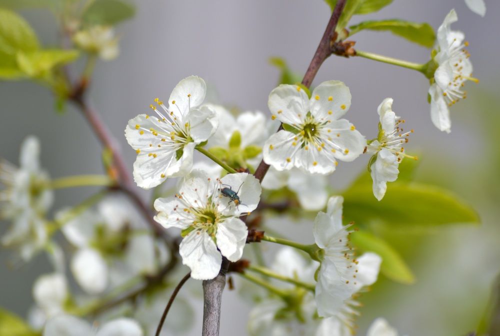 Photograph by Екатерина Казарцева