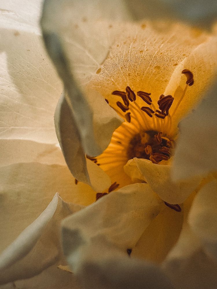 Photograph by Диана Бадеева