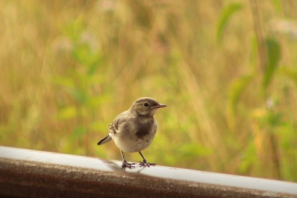 Photograph by Надежда Ключкина
