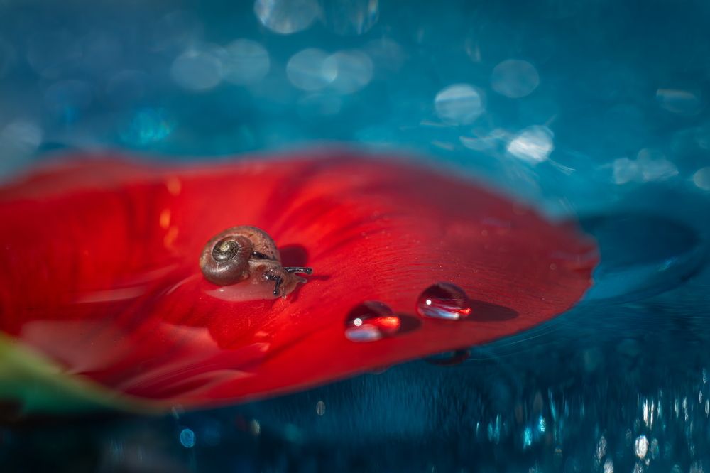 Photograph by Николай Фонарёв