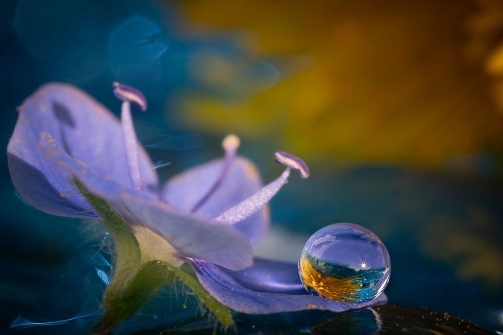 Photograph by Николай Фонарёв