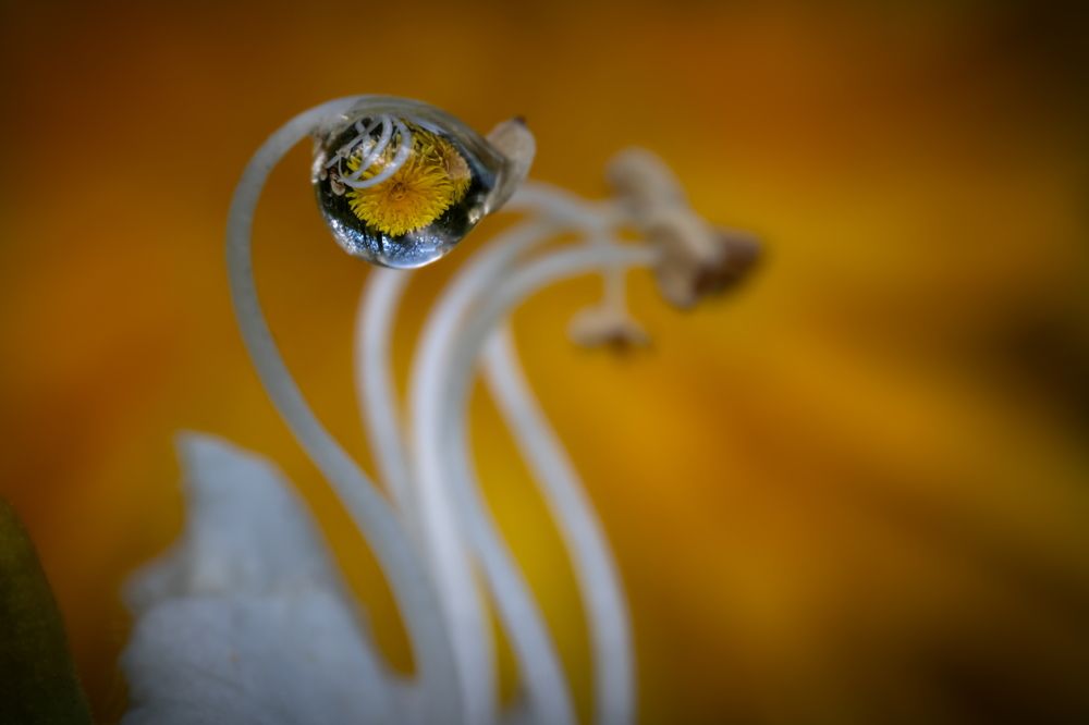 Photograph by Николай Фонарёв