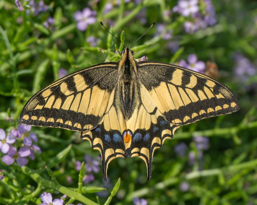 Photograph by Viktor Makarov
