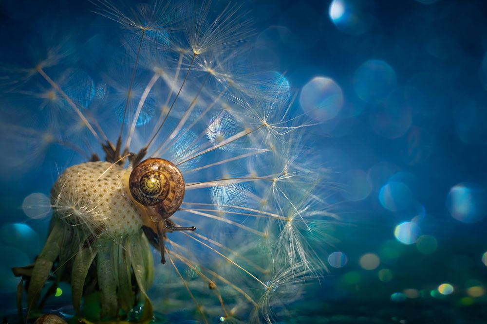 Photograph by Николай Фонарёв