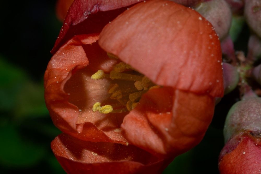 Фотография автора Aлексей Игнатьев