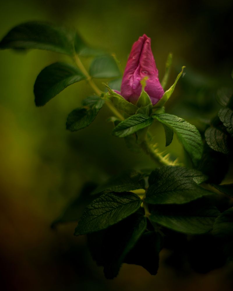 Photograph by Валерия Дорогова