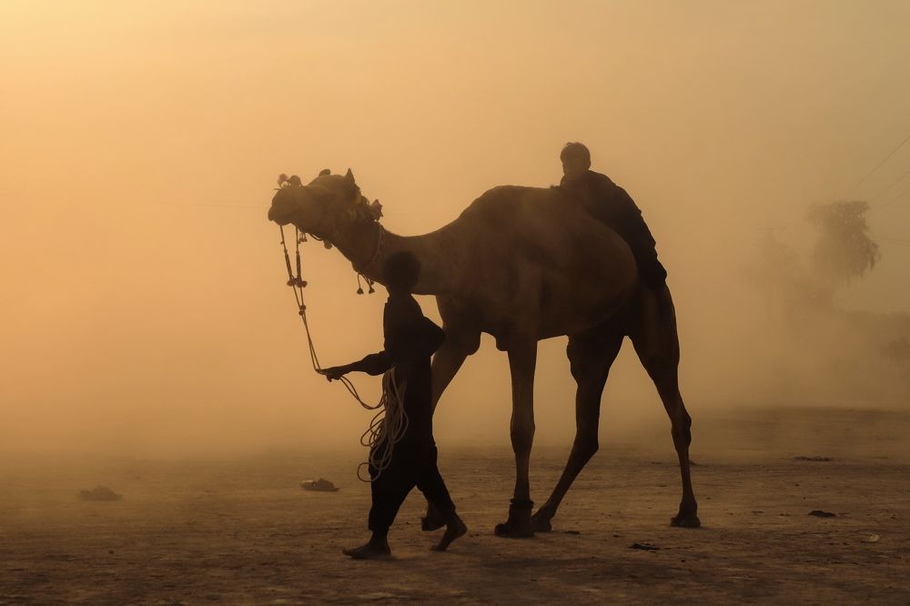 Photograph by Awais Akram