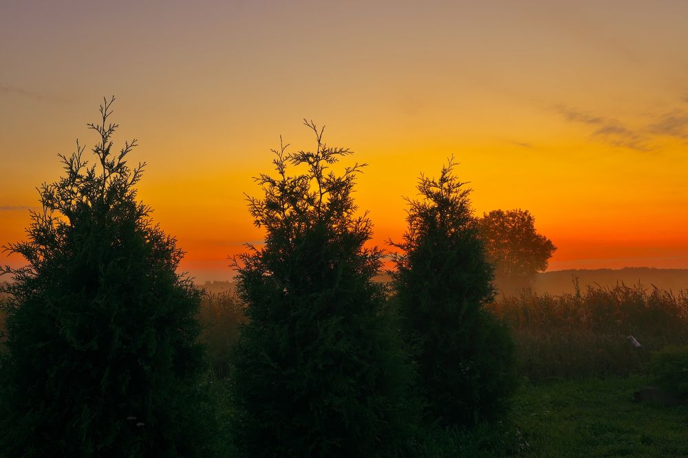 Photograph by Владимир Кирсанов