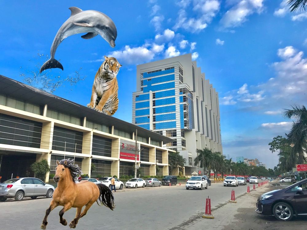 Фотография автора Washiful Majid