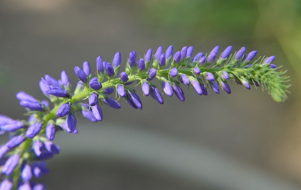 Фотография автора Алексей Volg