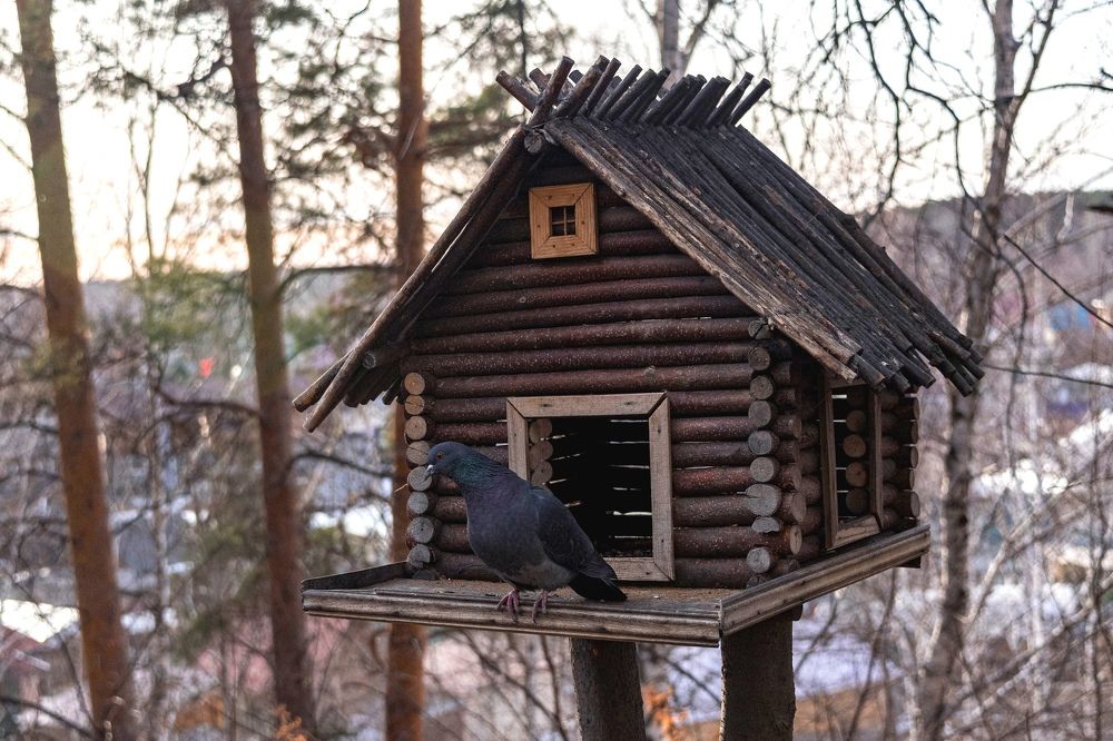 Photograph by Римма Бобрякова