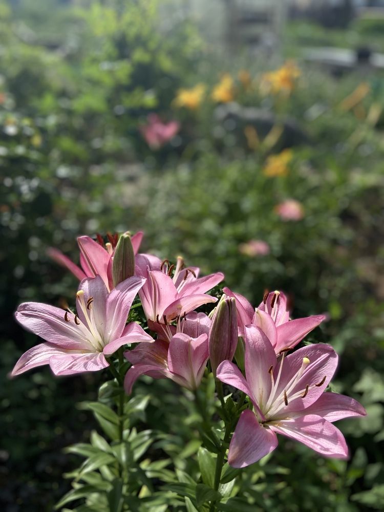 Photograph by Наталья Душакова