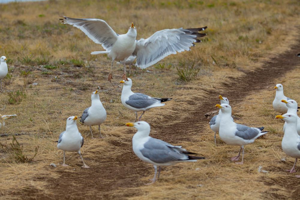 Photograph by Денис Дорошенко