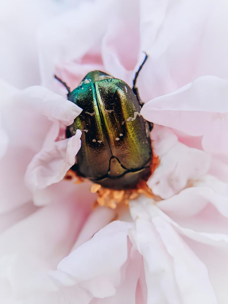 Photograph by Анастасия Дынина