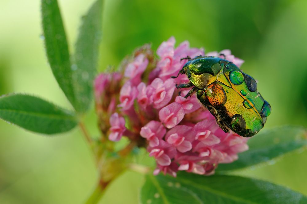 Photograph by Чистяков Андрей