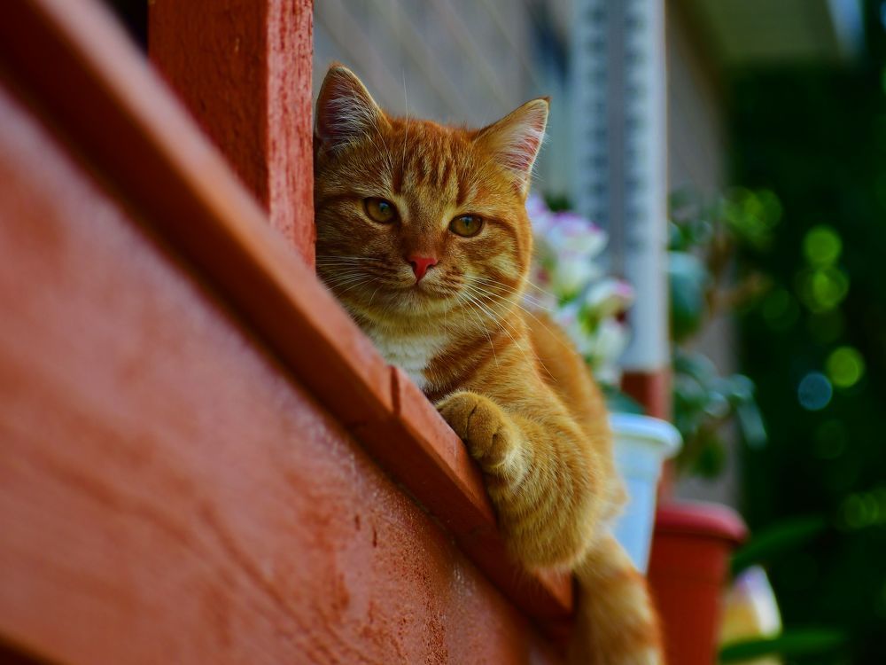 Photograph by Николай Абакумов