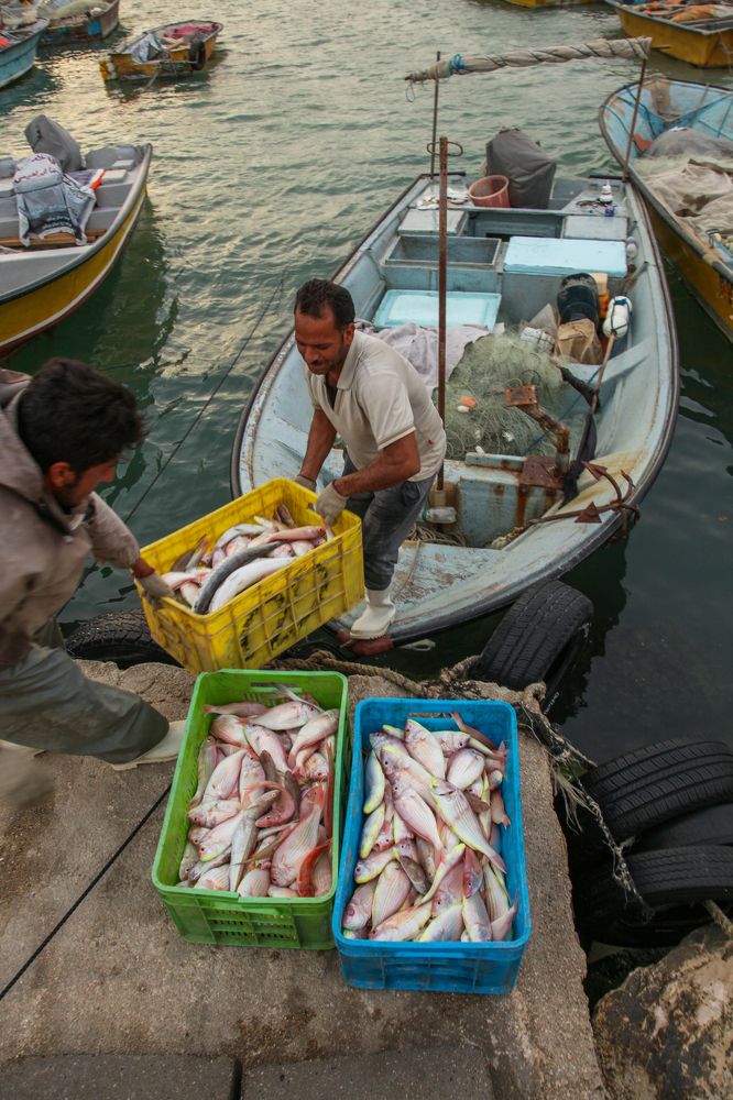 Фотография автора Mojtaba Chenari