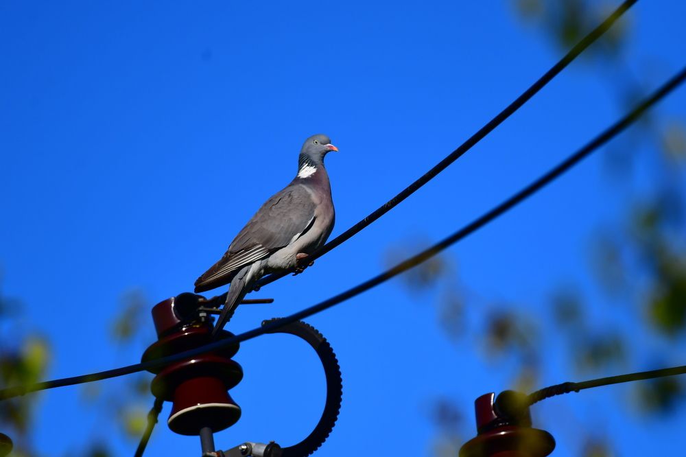 Photograph by Николай Абакумов