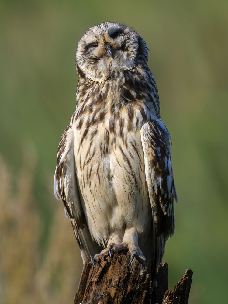 Photograph by Пупонин Сергей