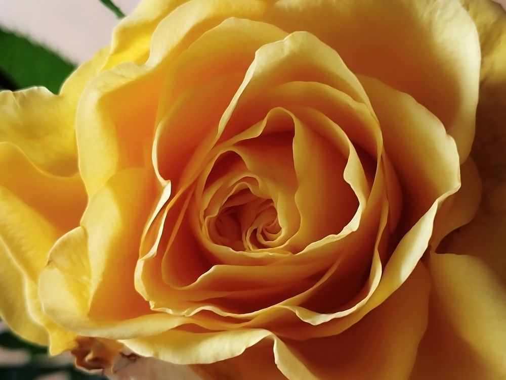 Photograph by Jasna Dragun