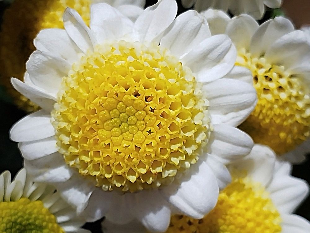 Photograph by Jasna Dragun