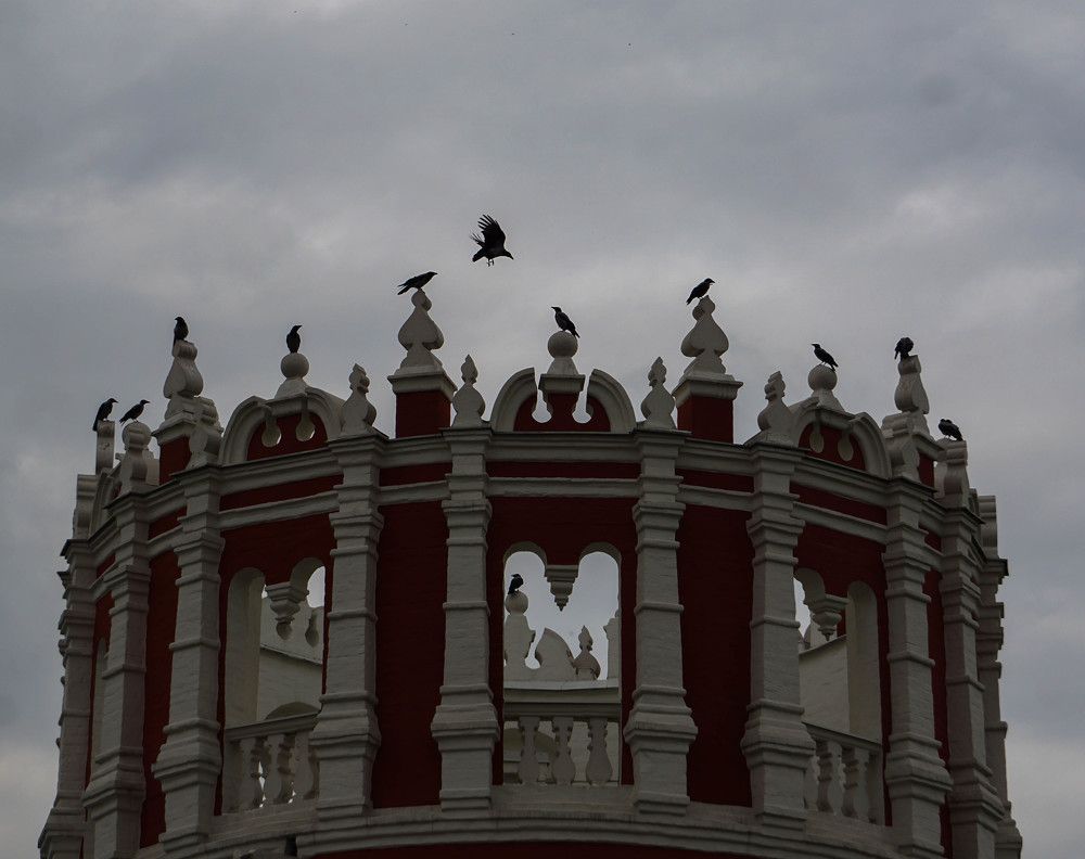 Photograph by Елизавета