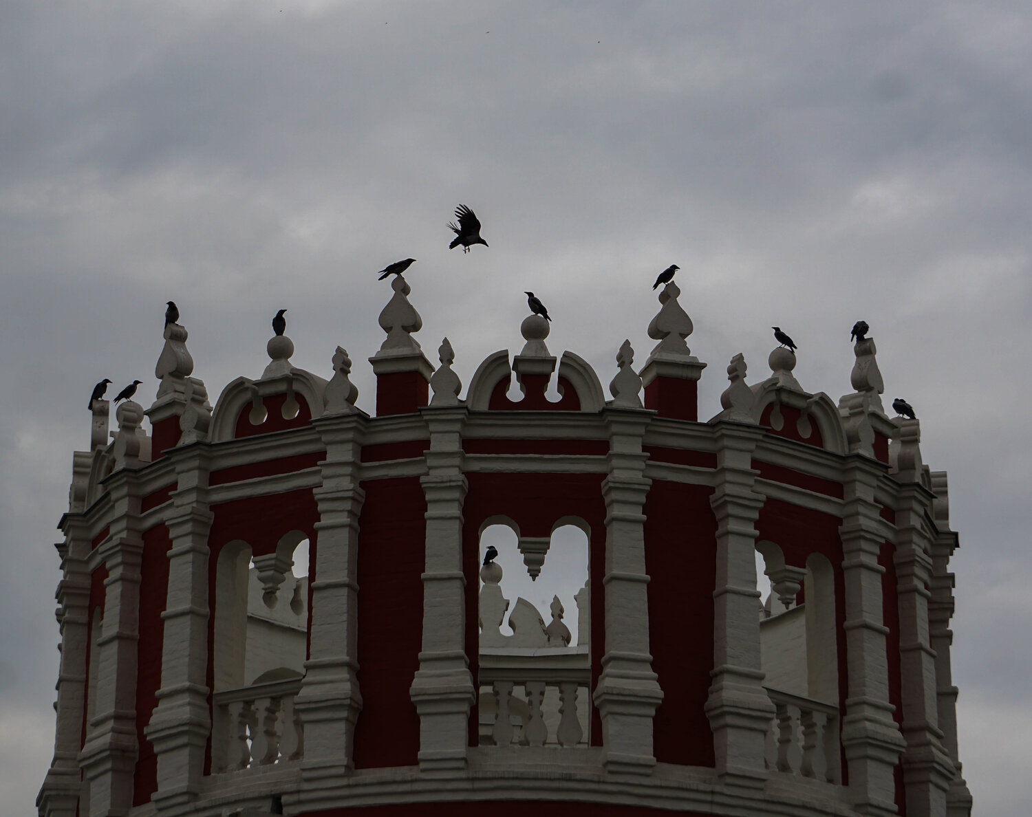 Photo #10874608
