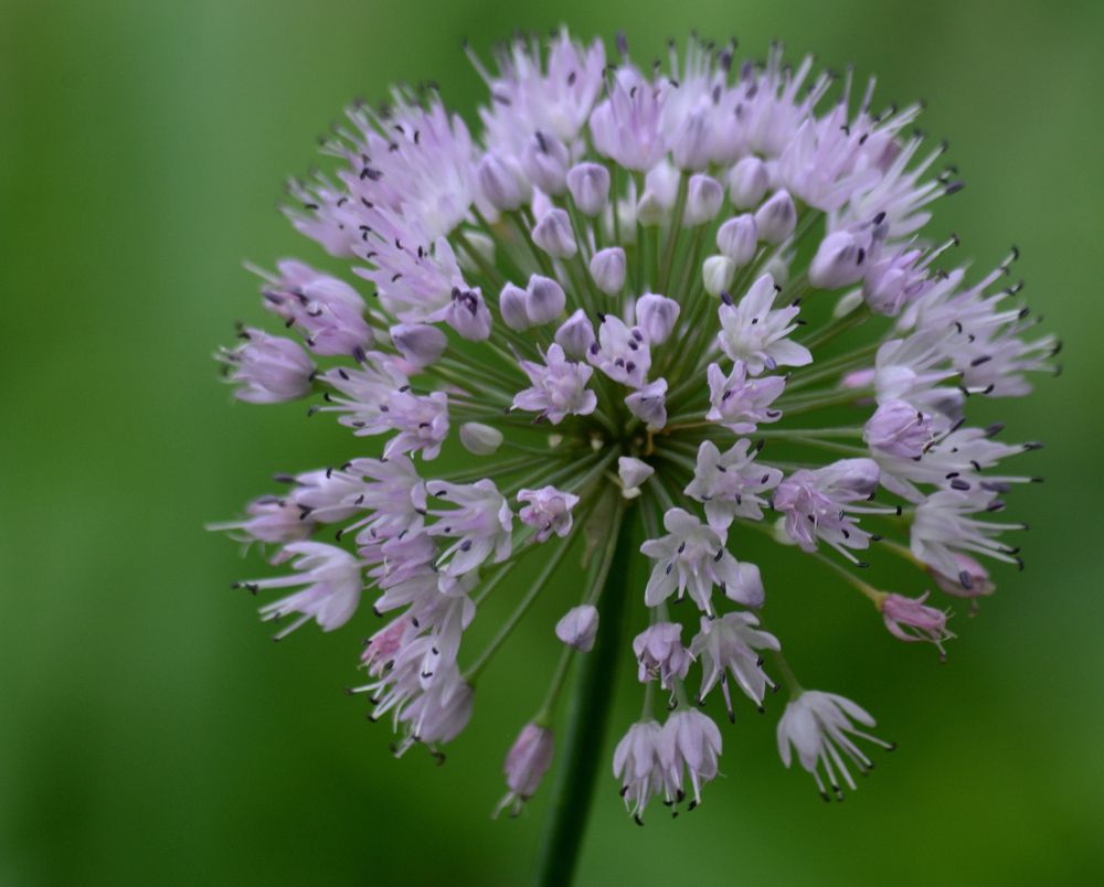 Photograph by Дмитрий Жуков