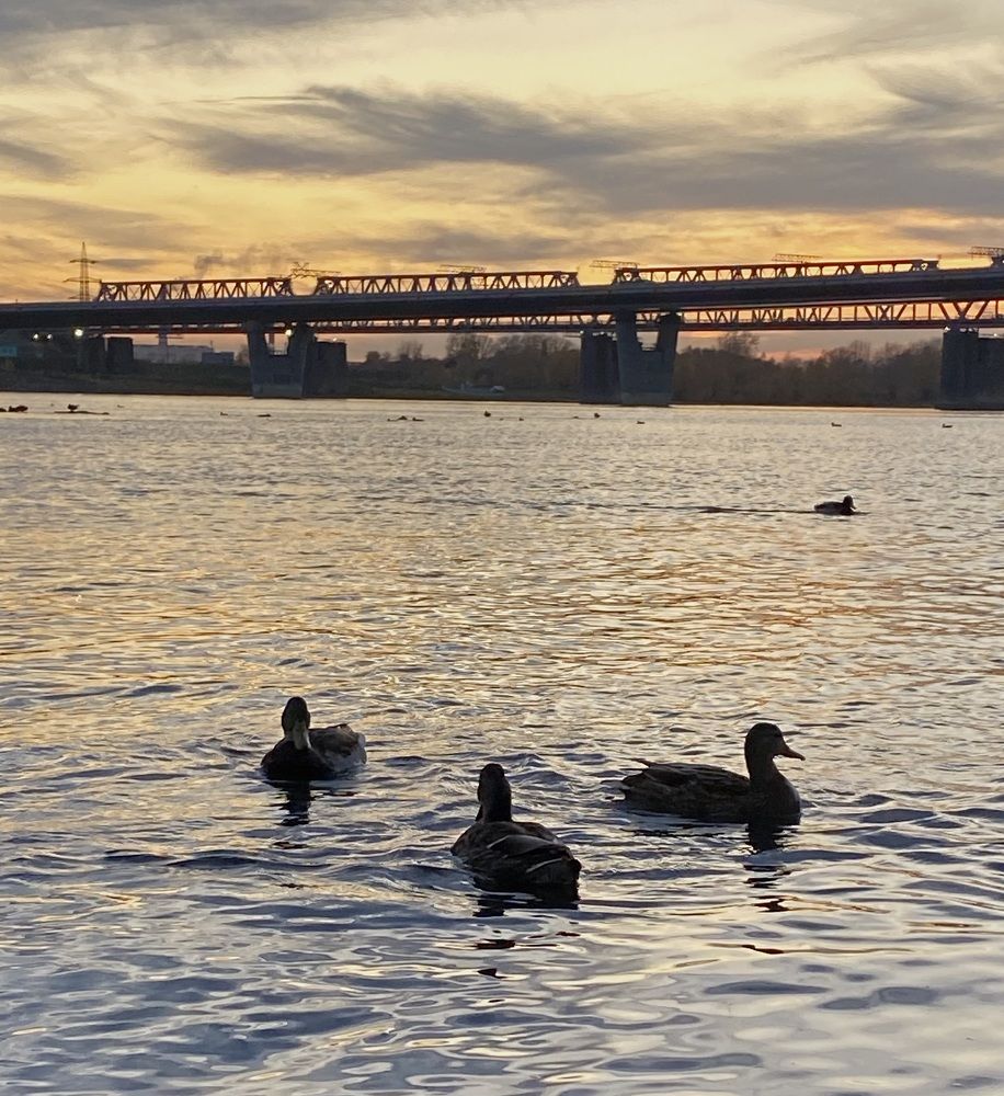 Photograph by Алиса Лукина