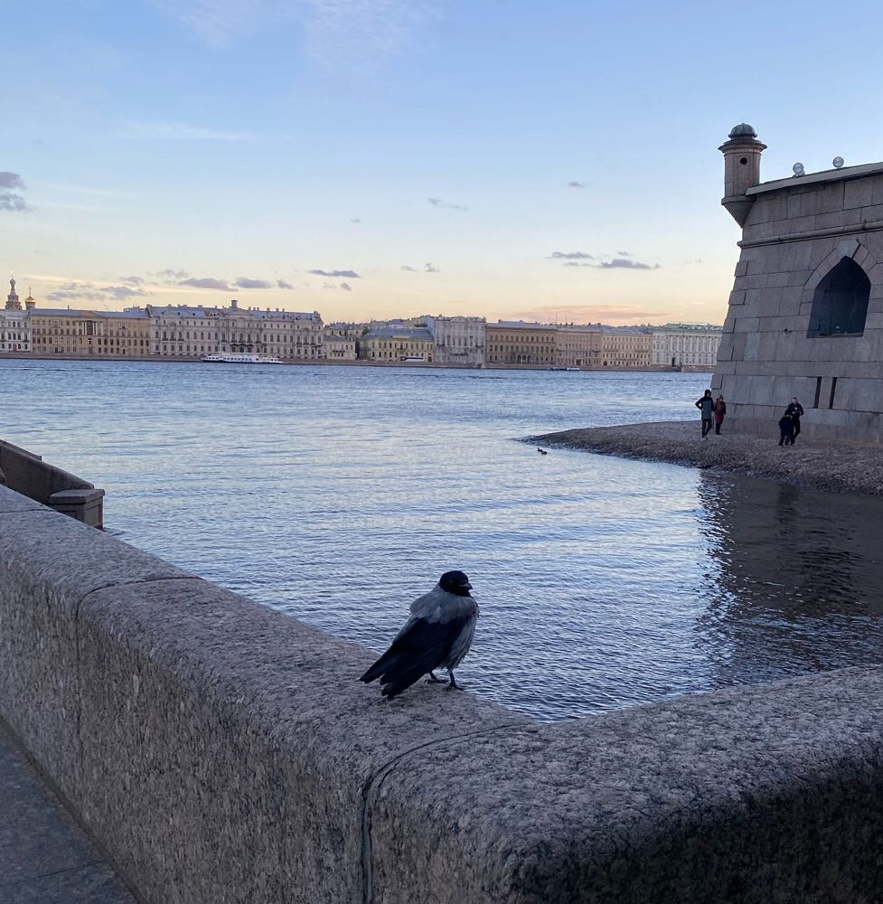 Photograph by Алиса Лукина