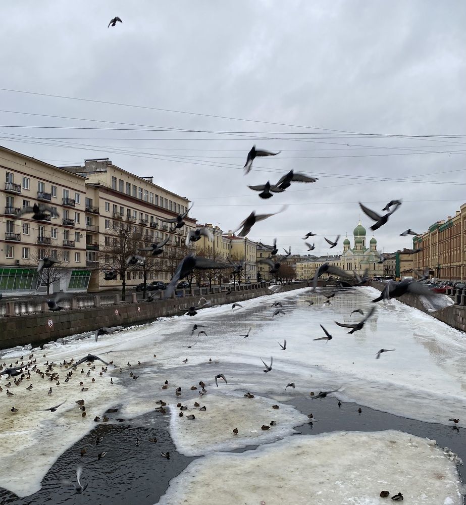 Photograph by Алиса Лукина