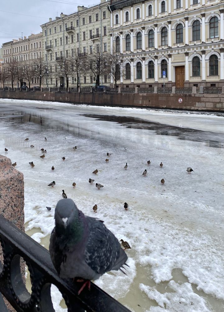 Photograph by Алиса Лукина