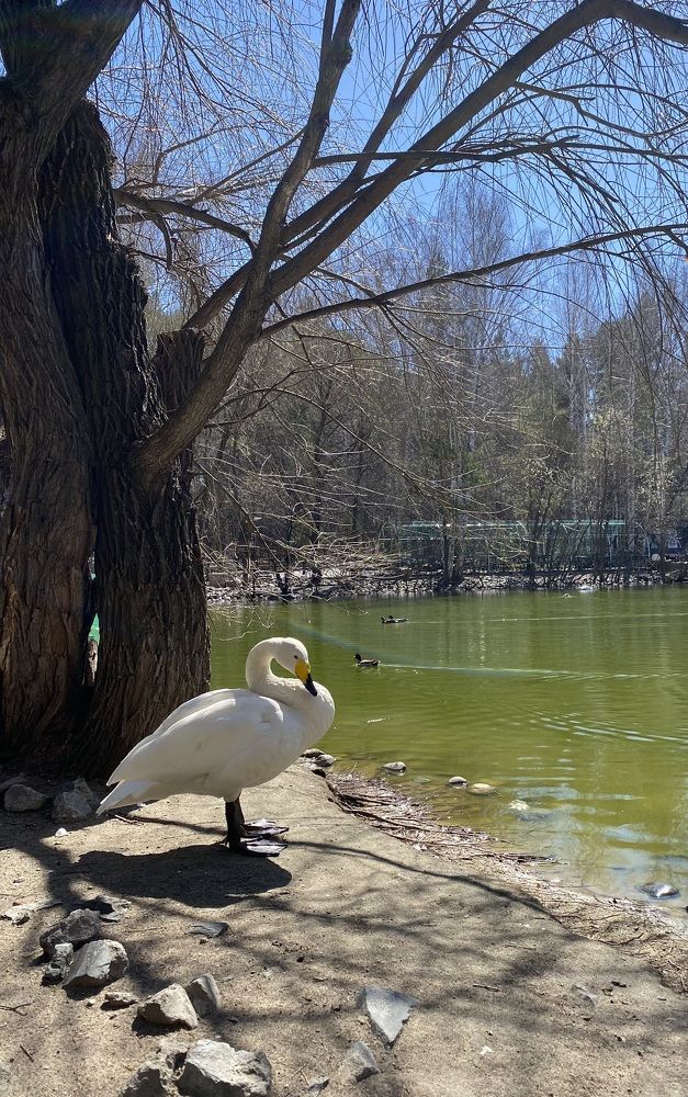 Photograph by Алиса Лукина