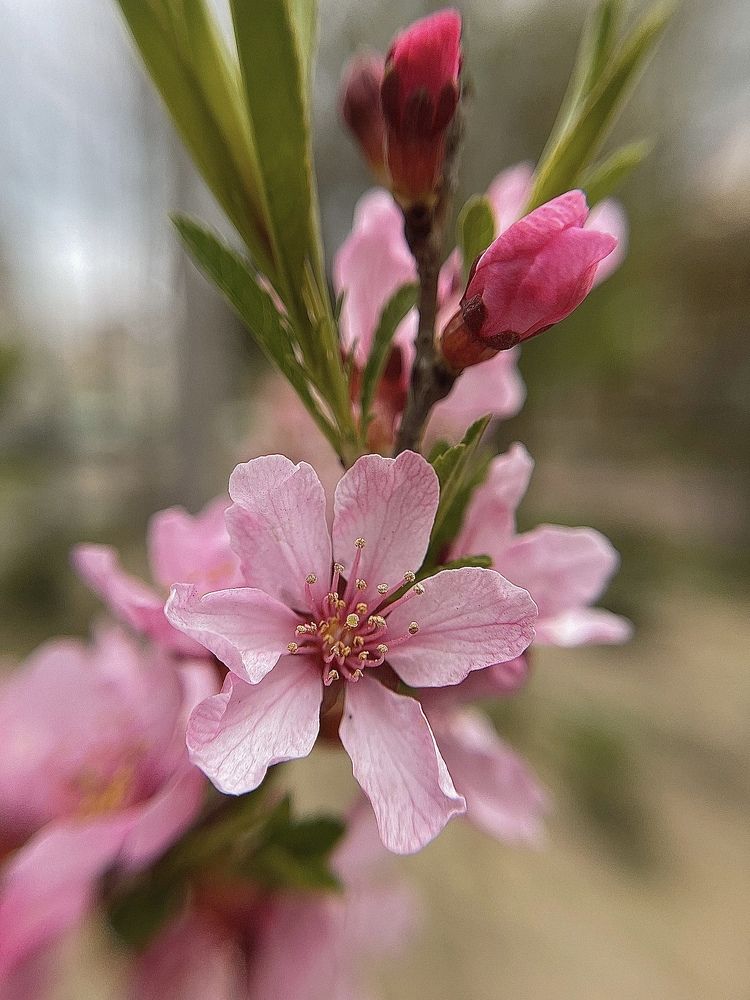Фотография автора Юлия Косинова