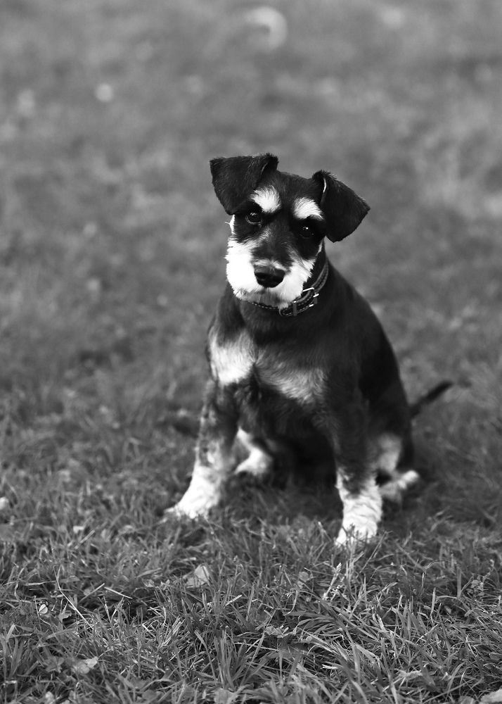 Photograph by Вера Сдвижкова