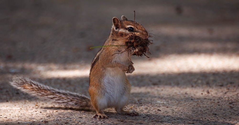 Photograph by Вадим Басов