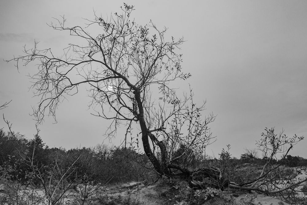 Одиночество