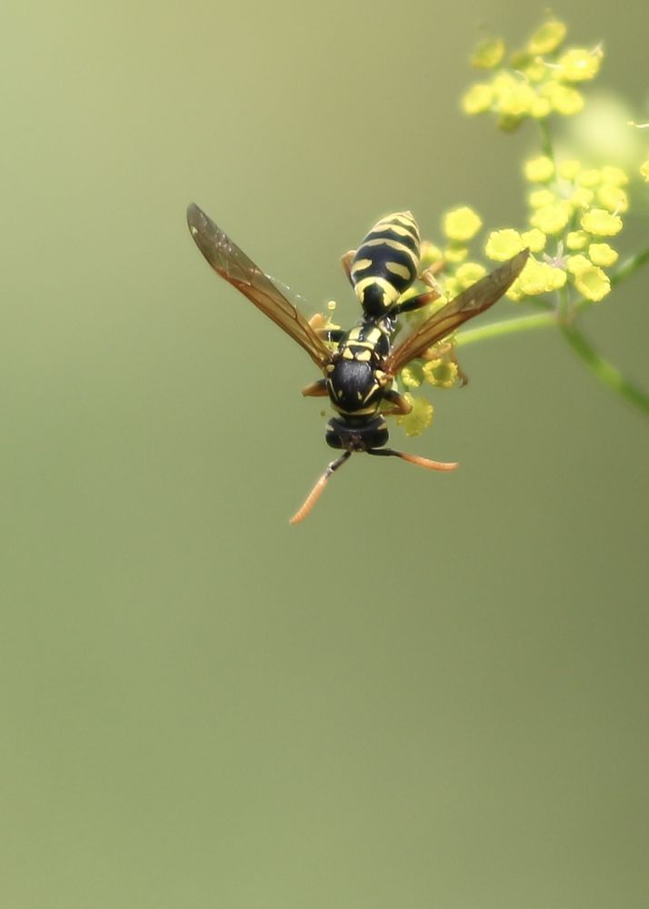 Photograph by Alexander Zatyamin