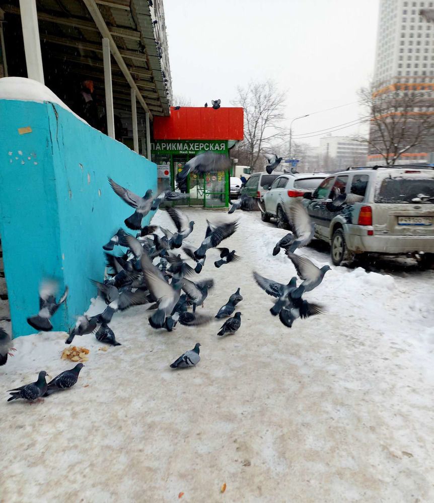 Photograph by Яна