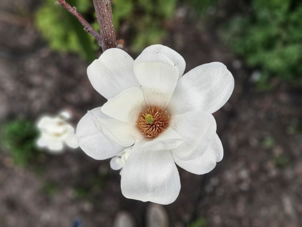 Photograph by Михаил Пасынков