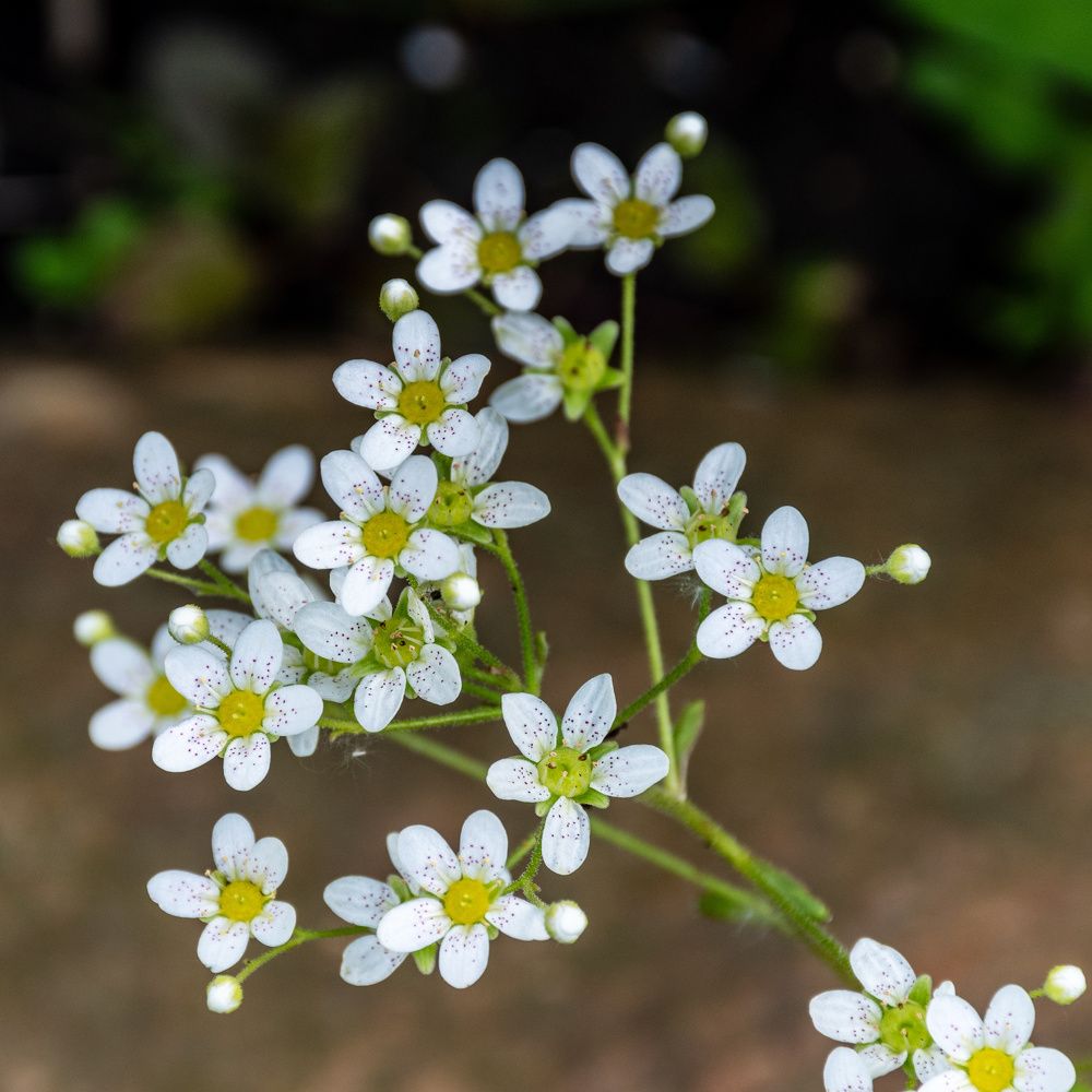 Photograph by Валерий Петухов