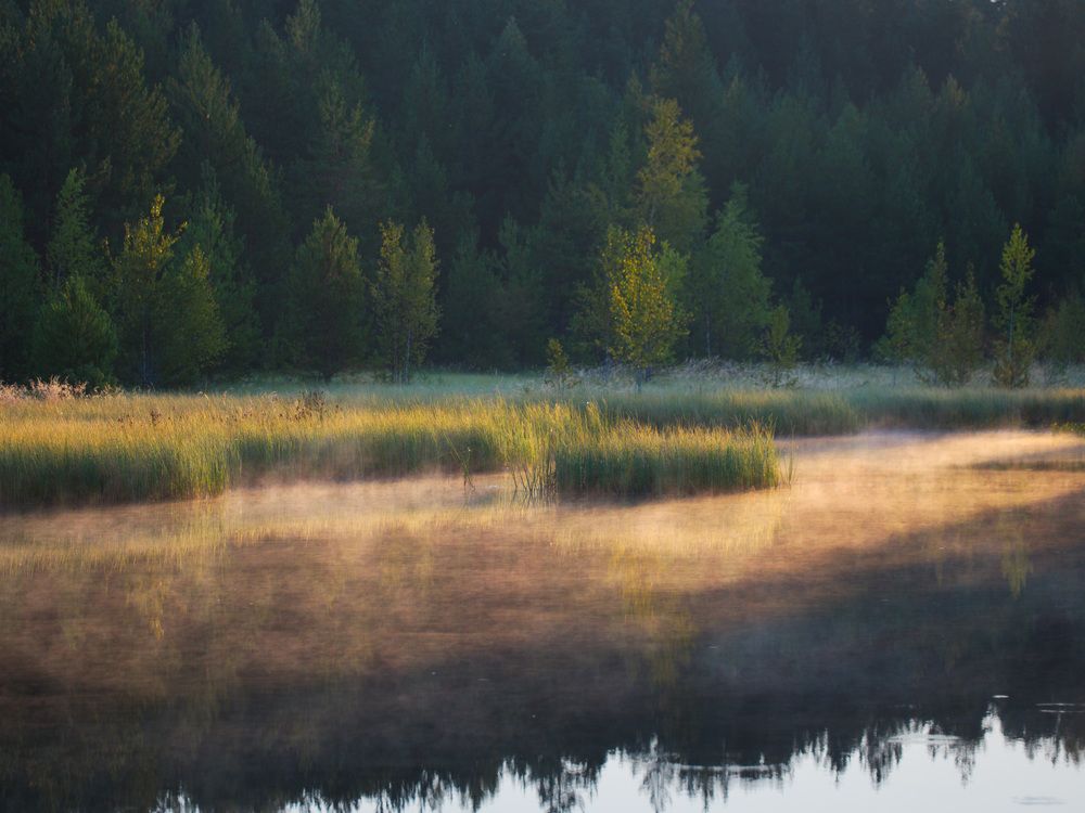 Photograph by 