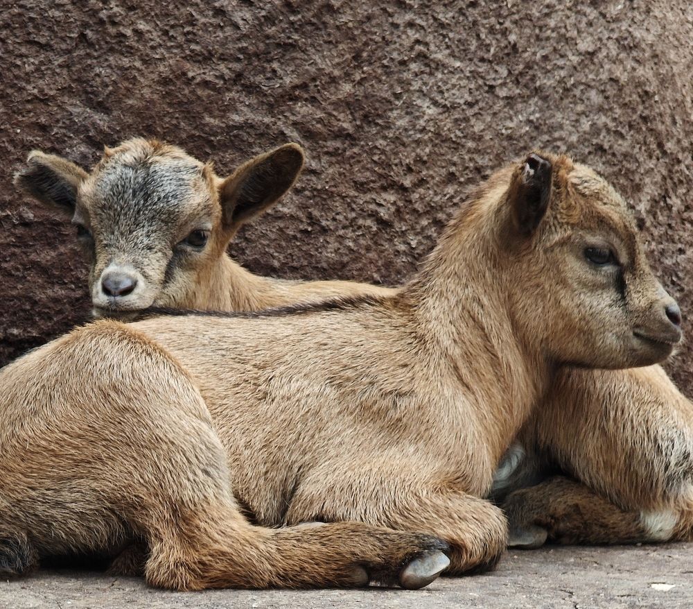 Фотография автора 馮贊謙