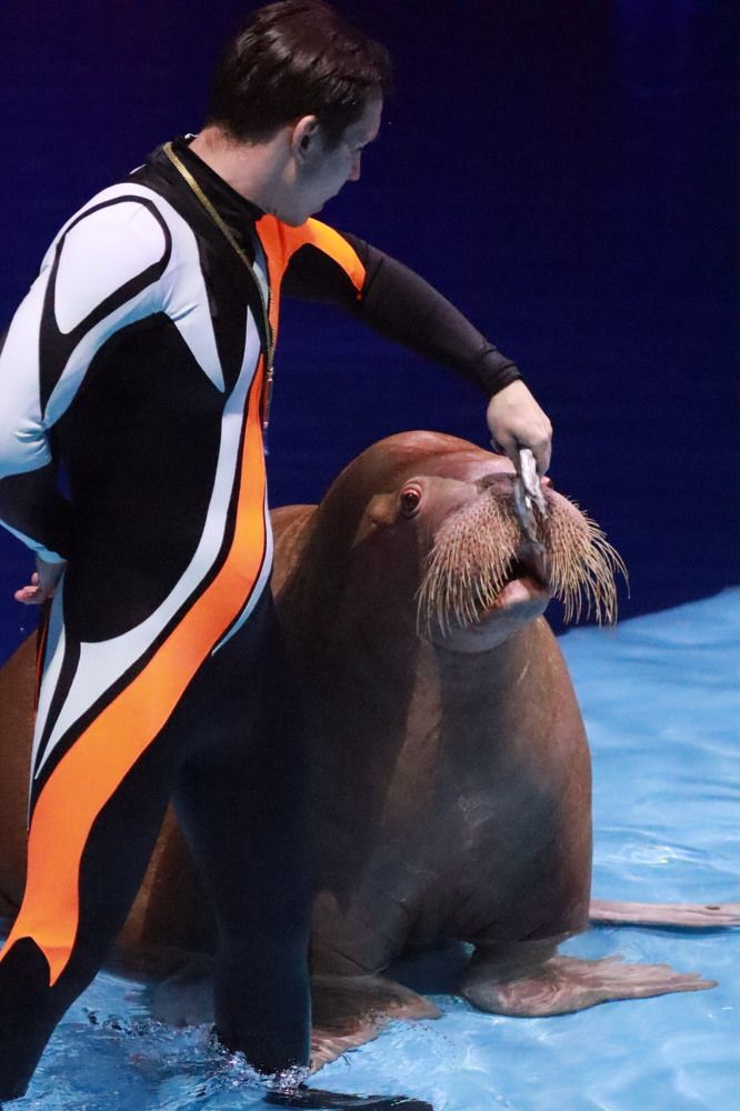 Photograph by Елена Рудкевич