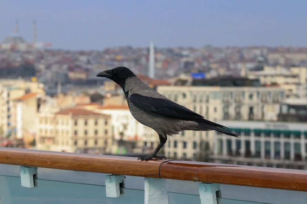 Photograph by Елена Рудкевич