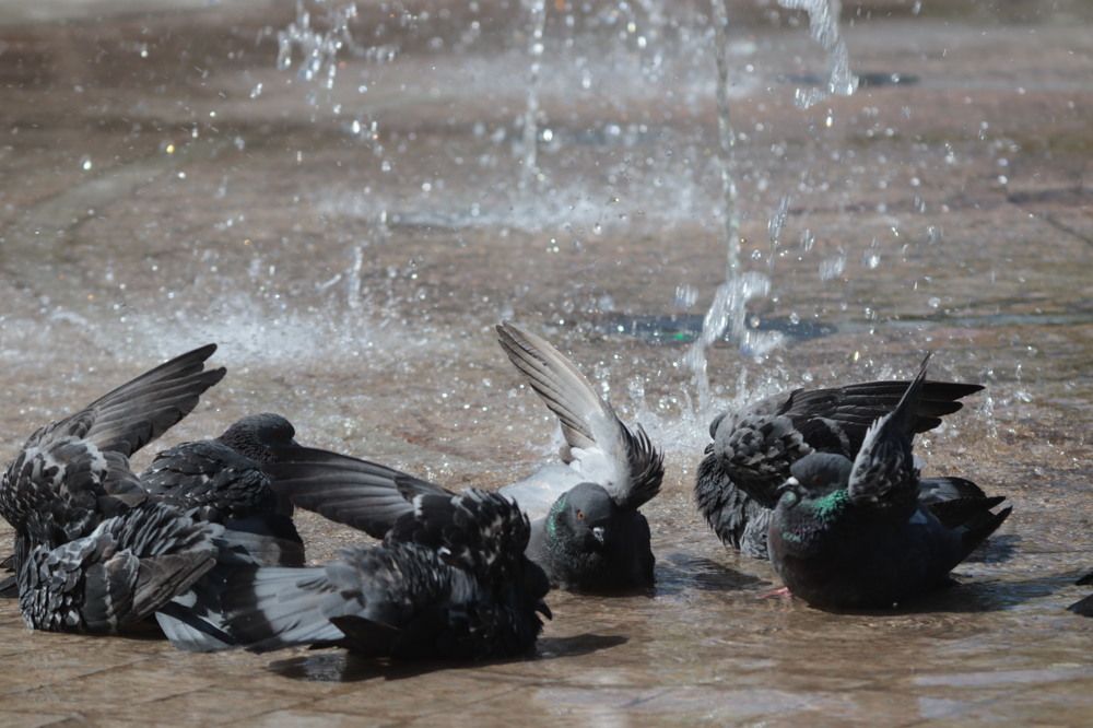 Photograph by Елена Рудкевич