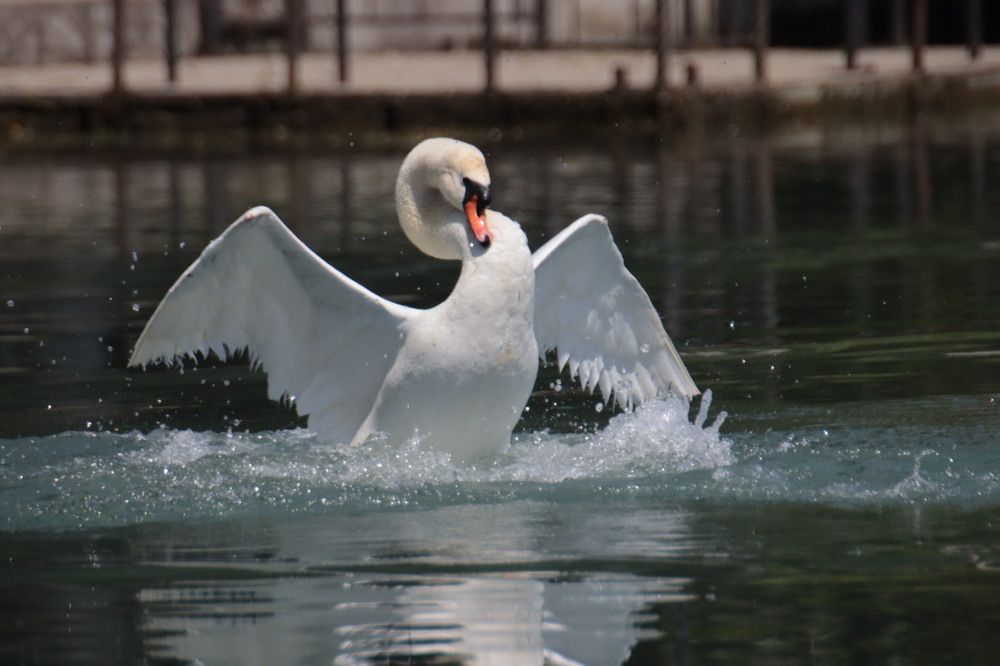 Photograph by Елена Рудкевич