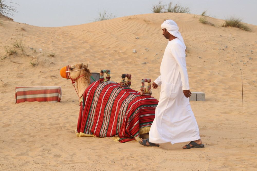 Photograph by Елена Рудкевич